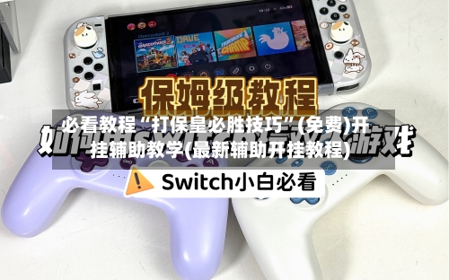 必看教程“打保皇必胜技巧”(免费)开挂辅助教学(最新辅助开挂教程)-第1张图片