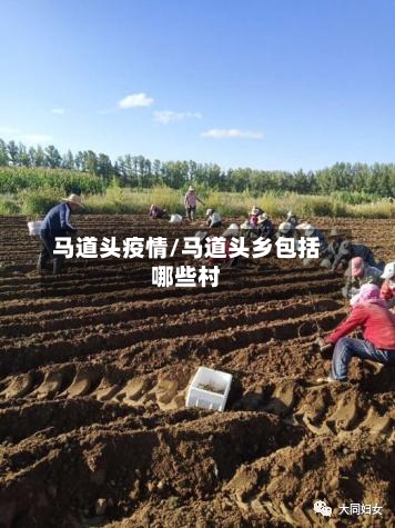 马道头疫情/马道头乡包括哪些村-第1张图片
