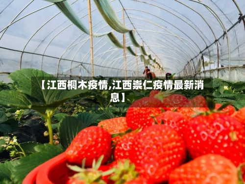 【江西桐木疫情,江西崇仁疫情最新消息】