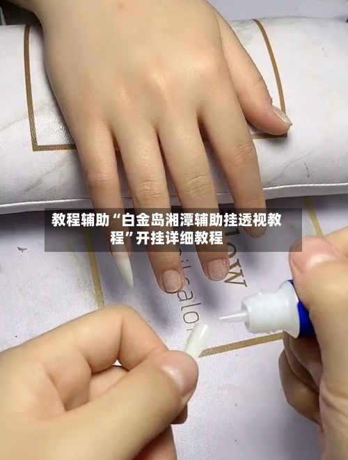 教程辅助“白金岛湘潭辅助挂透视教程”开挂详细教程-第2张图片