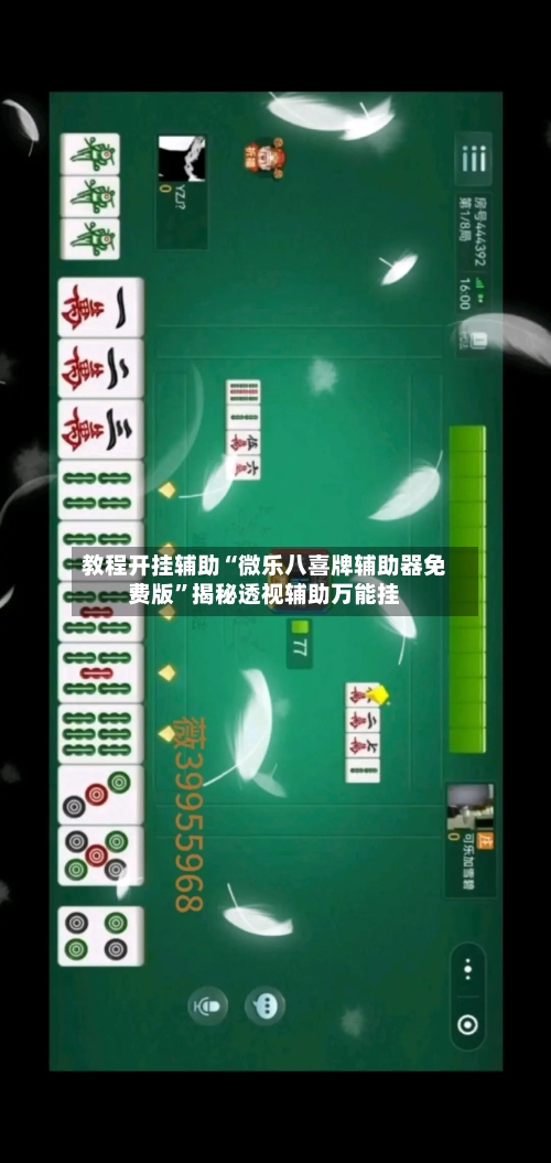 教程开挂辅助“微乐八喜牌辅助器免费版”揭秘透视辅助万能挂-第3张图片