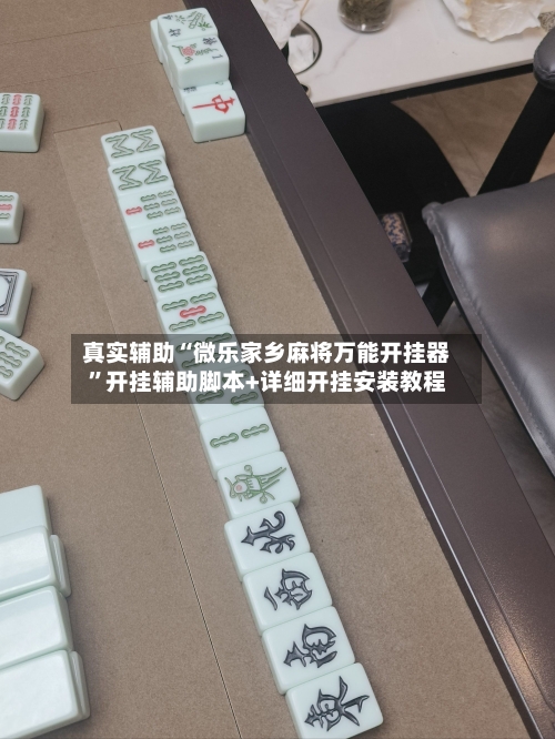 真实辅助“微乐家乡麻将万能开挂器”开挂辅助脚本+详细开挂安装教程-第2张图片