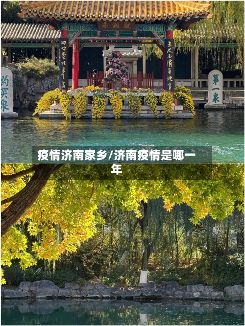 疫情济南家乡/济南疫情是哪一年-第2张图片