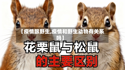 【疫情跟野生,疫情和野生动物有关系吗】