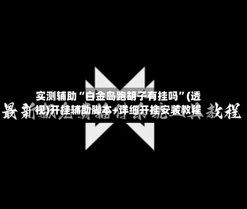 实测辅助“白金岛跑胡子有挂吗	”(透视)开挂辅助脚本+详细开挂安装教程-第2张图片