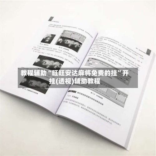 教程辅助“旺旺安达麻将免费的挂”开挂(透视)辅助教程-第1张图片