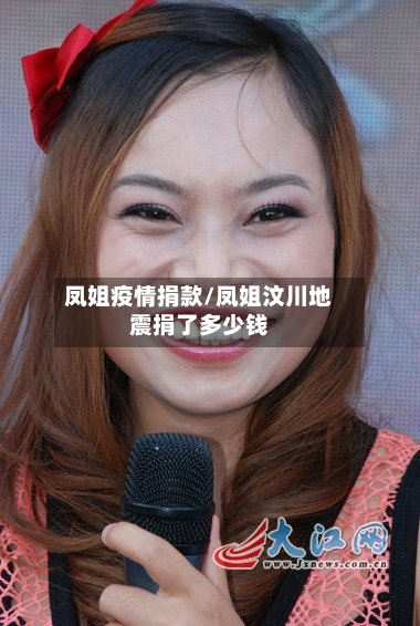 凤姐疫情捐款/凤姐汶川地震捐了多少钱-第3张图片