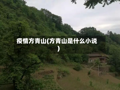 疫情方青山(方青山是什么小说)-第1张图片