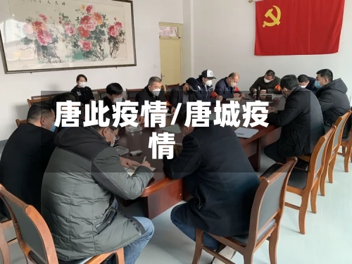 唐此疫情/唐城疫情-第1张图片