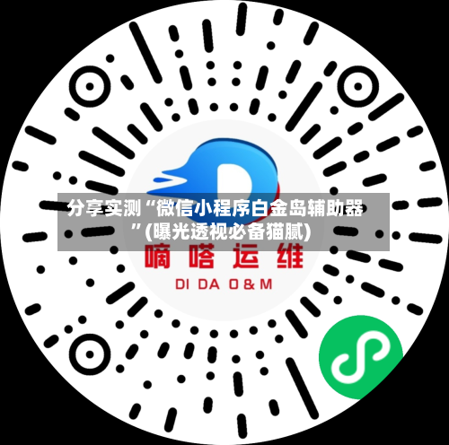 分享实测“微信小程序白金岛辅助器”(曝光透视必备猫腻)-第2张图片