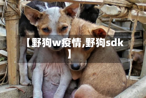 【野狗w疫情,野狗sdk】-第2张图片