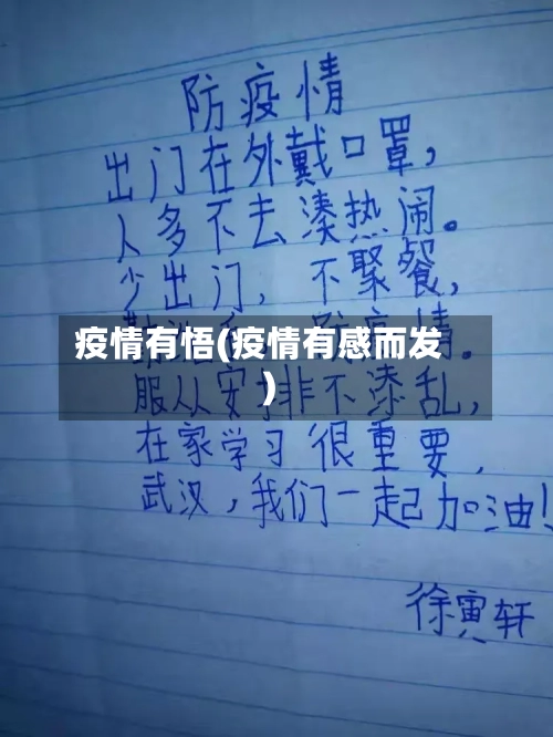 疫情有悟(疫情有感而发)