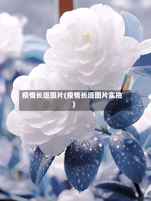 疫情长垣图片(疫情长垣图片实拍)