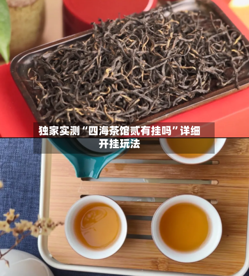 独家实测“四海茶馆贰有挂吗	”详细开挂玩法-第2张图片