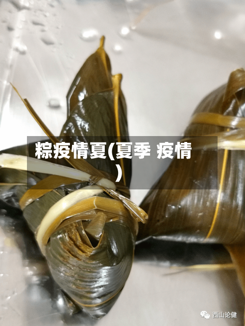 粽疫情夏(夏季 疫情)