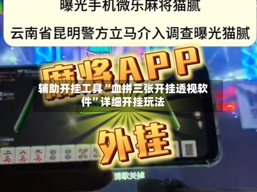 辅助开挂工具“血拼三张开挂透视软件”详细开挂玩法-第2张图片