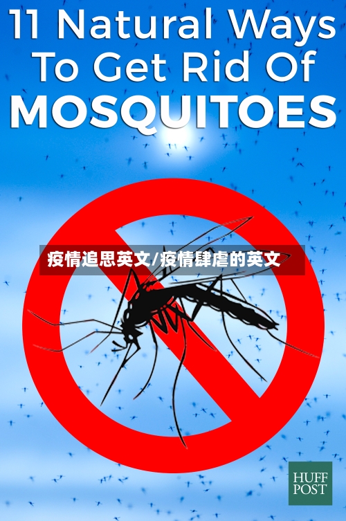 疫情追思英文/疫情肆虐的英文