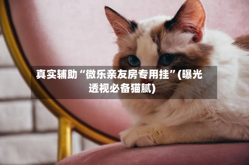 真实辅助“微乐亲友房专用挂”(曝光透视必备猫腻)