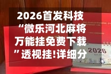 2026首发科技“微乐河北麻将万能挂免费下载”透视挂!详细分享装挂步骤-第2张图片