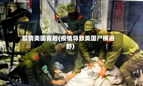 疫情美国背后(疫情导致美国尸横遍野)-第2张图片