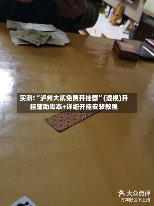 实测!“泸州大贰免费开挂器	”(透视)开挂辅助脚本+详细开挂安装教程-第1张图片