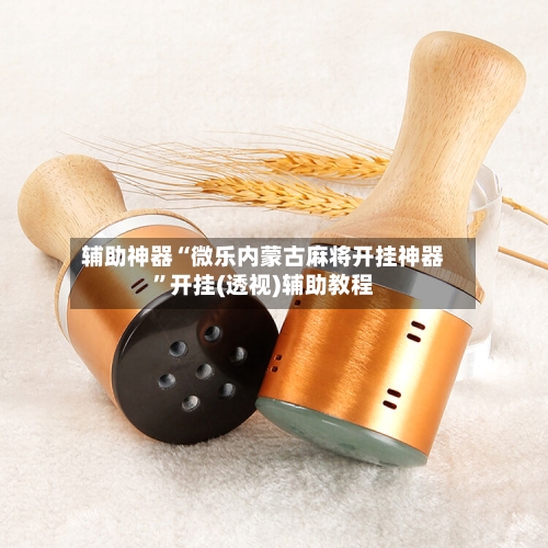 辅助神器“微乐内蒙古麻将开挂神器	”开挂(透视)辅助教程-第2张图片