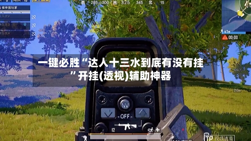 一键必胜“达人十三水到底有没有挂”开挂(透视)辅助神器