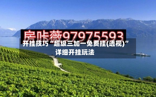 开挂技巧“超级三加一免费挂(透视)	”详细开挂玩法-第1张图片