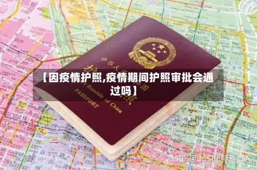 【因疫情护照,疫情期间护照审批会通过吗】