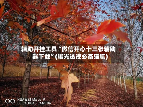 辅助开挂工具“微信开心十三张辅助器下载”(曝光透视必备猫腻)