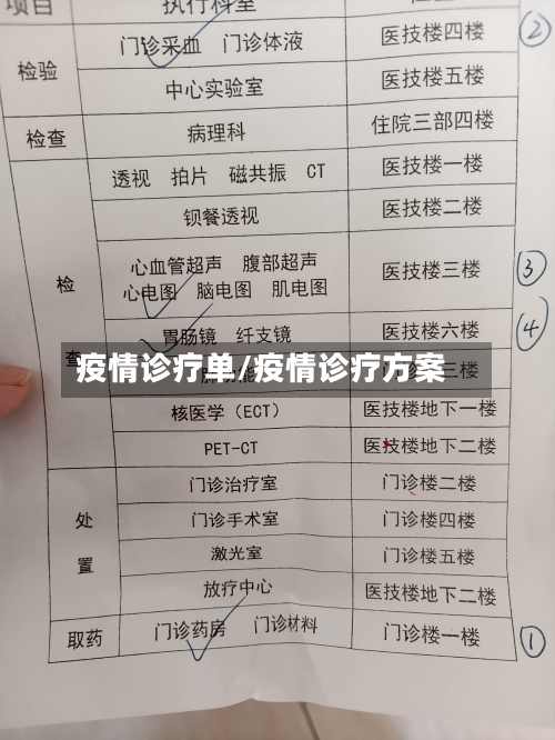 疫情诊疗单/疫情诊疗方案