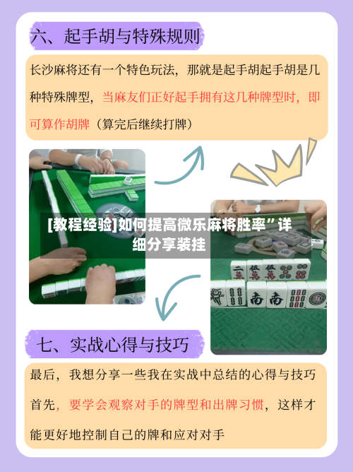 [教程经验]如何提高微乐麻将胜率”详细分享装挂-第2张图片