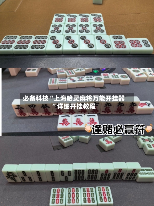 必备科技“上海哈灵麻将万能开挂器”详细开挂教程