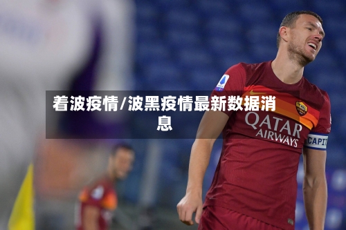 着波疫情/波黑疫情最新数据消息