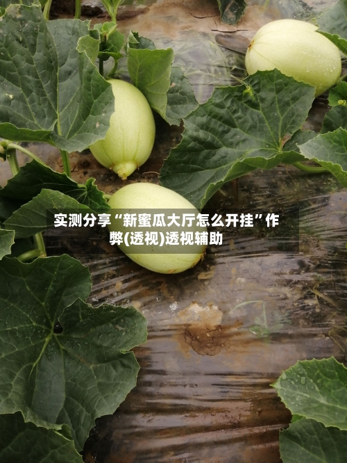 实测分享“新蜜瓜大厅怎么开挂	”作弊(透视)透视辅助-第1张图片