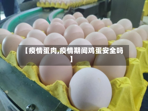 【疫情蛋肉,疫情期间鸡蛋安全吗】-第1张图片