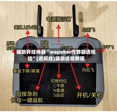 辅助开挂神器“wepoker作弊器透视挂”(透视挂)辅助透视教程-第2张图片