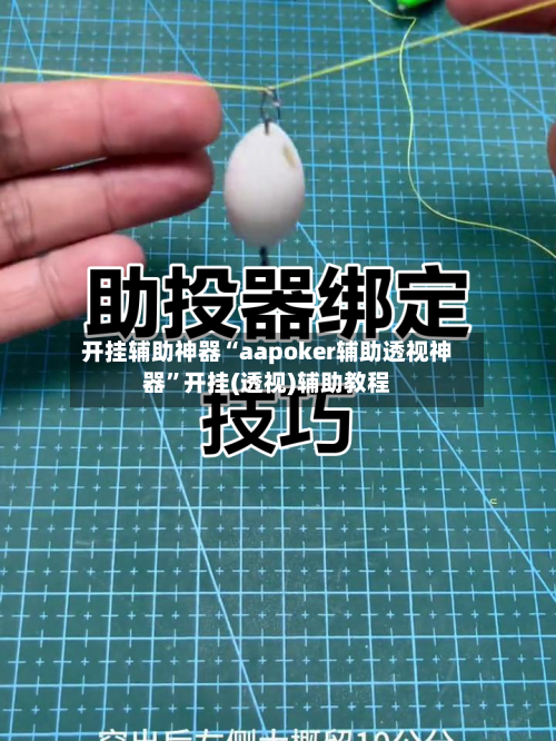 开挂辅助神器“aapoker辅助透视神器”开挂(透视)辅助教程-第3张图片