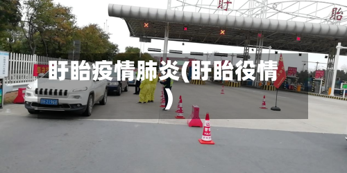 盱眙疫情肺炎(盱眙役情)-第2张图片