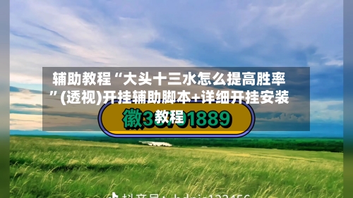 辅助教程“大头十三水怎么提高胜率”(透视)开挂辅助脚本+详细开挂安装教程