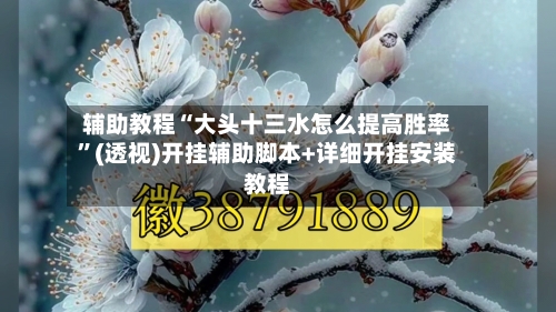 辅助教程“大头十三水怎么提高胜率”(透视)开挂辅助脚本+详细开挂安装教程-第3张图片
