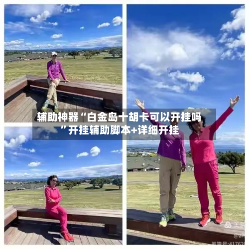 辅助神器“白金岛十胡卡可以开挂吗	”开挂辅助脚本+详细开挂-第3张图片