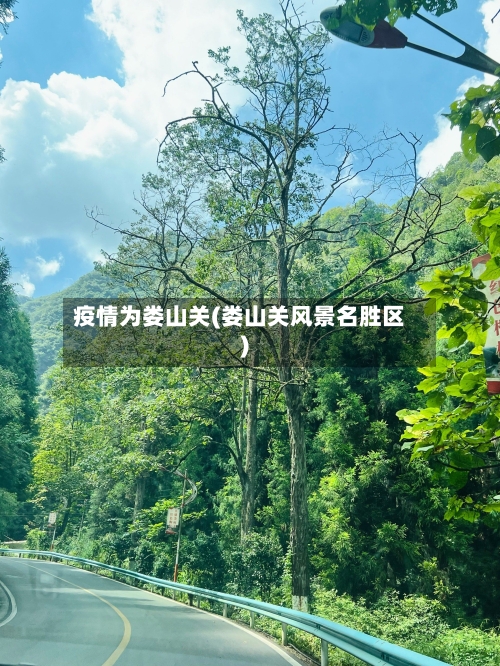 疫情为娄山关(娄山关风景名胜区)