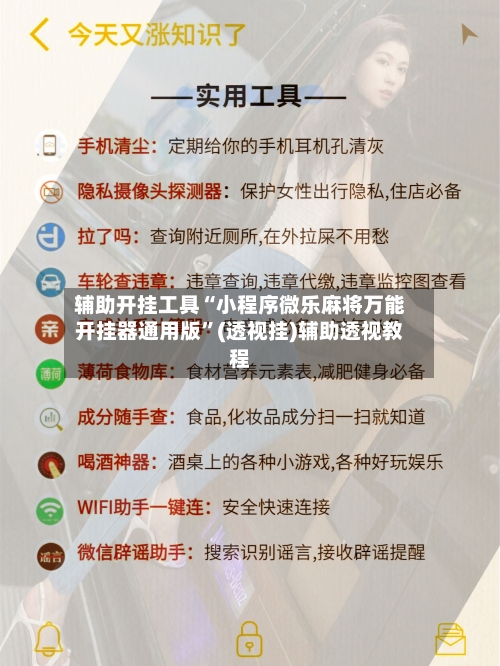 辅助开挂工具“小程序微乐麻将万能开挂器通用版”(透视挂)辅助透视教程-第2张图片