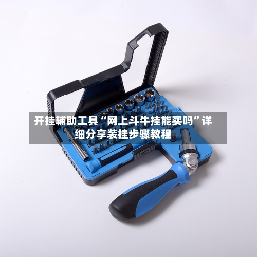 开挂辅助工具“网上斗牛挂能买吗”详细分享装挂步骤教程-第2张图片