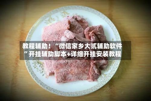 教程辅助！“微信家乡大贰辅助软件”开挂辅助脚本+详细开挂安装教程-第1张图片