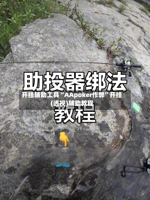开挂辅助工具“AApoker作弊	”开挂(透视)辅助教程-第1张图片