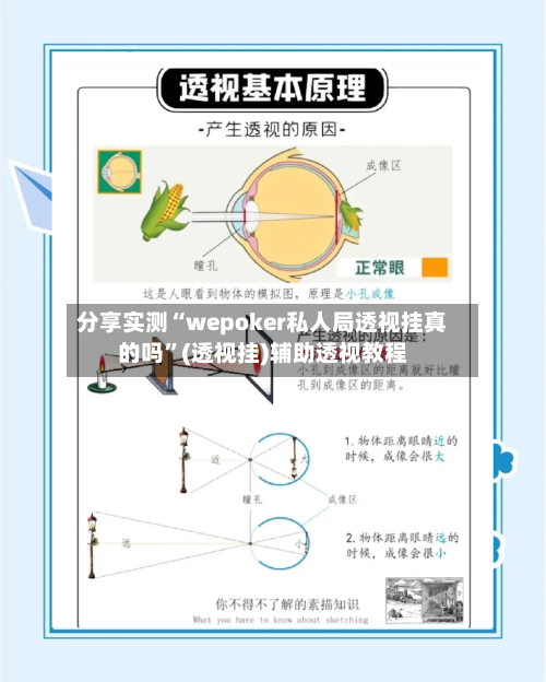 分享实测“wepoker私人局透视挂真的吗”(透视挂)辅助透视教程-第1张图片