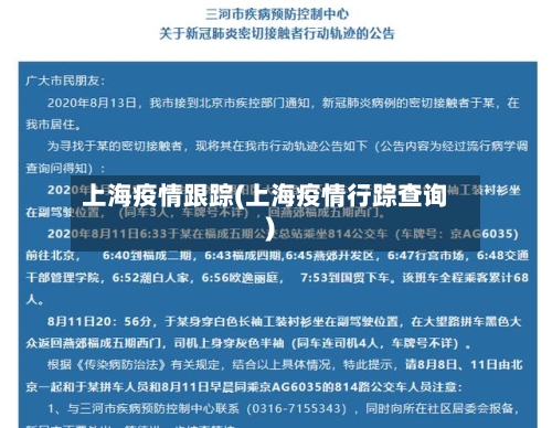上海疫情跟踪(上海疫情行踪查询)