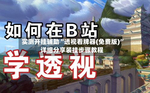 实测开挂辅助“透视看牌器(免费版)”详细分享装挂步骤教程-第3张图片